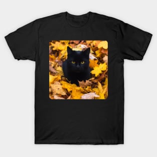 Black Cat in Autumn 1 T-Shirt